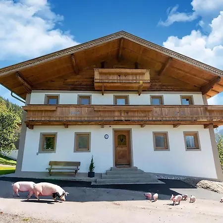 In Wildkogel Near Slopes, Cleaning Included Feriehus *
